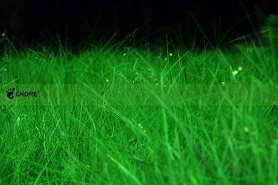 Index Of /~theemperor/Bilder/Wallpapers