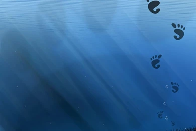 Gnome Gnome 3072x2304 Wallpapers – Gnome Wallpapers – Desktop Wallpapers