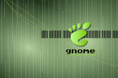 GNOME H4x0r Green «1280x960 «Anime Wallpapers «Anime Wallpapers