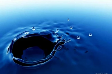 Others Amazing Wallpapers Amazing Collection Of Full Screen ...