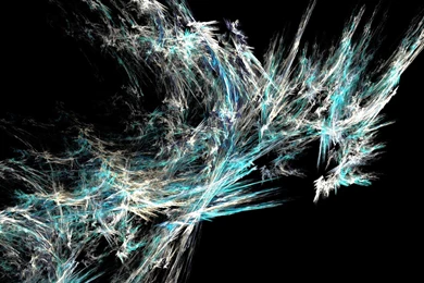 Desktop Hd Butterfly Pics