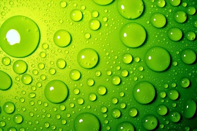 Water drops on green surface and p o high resolution   South ...