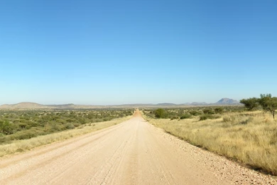 Desert Road Trees Grass Sky Wallpapers