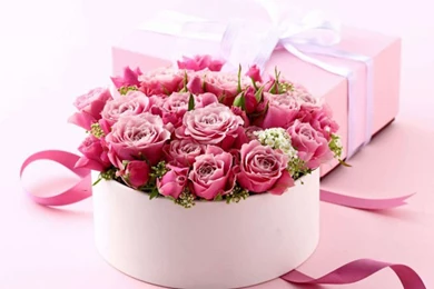 Valentines Day Flowers Wallpapers