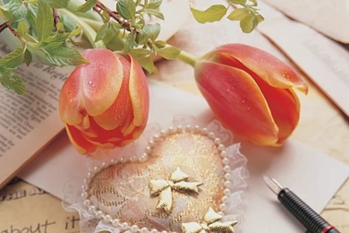 Romantic Mood & Valentine's Day Flowers Wallpapers 14   Wallcoo.net