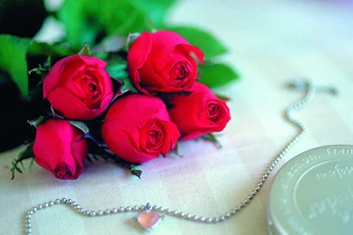 Valentine Flowers Pictures   All Wallpapers New