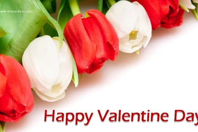 Valentine day 2013 Flower HighDefination Widescreen Wallpapers .jpg ...