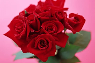 Flower Delivery Services In Dubai (Valentine's Day Special)