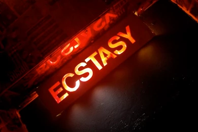Ecstasy Is Necessary