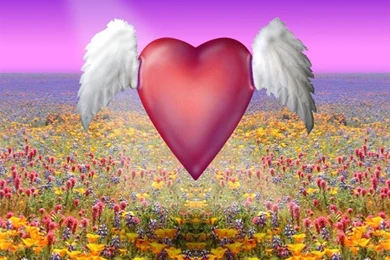 Images Of Beautiful Wallpapers 41819 HD Wallpapers