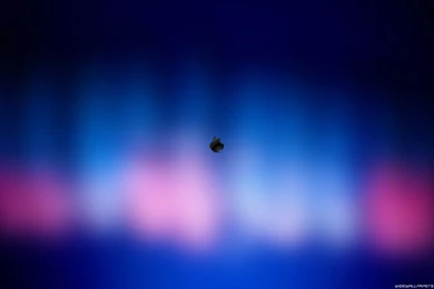 Apple Wallpapers Cool Wallpaper Backgrounds For Phone ...