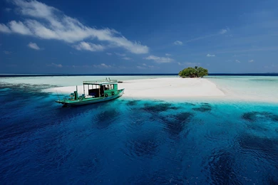 FISHING Fish Sport Water Wallpapers