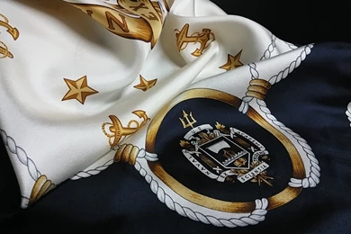 Scarf For Institutions (US Naval Academy) From Top Silk ...