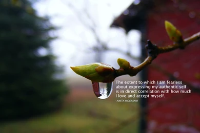 Fearless wallpaper anita moorjani