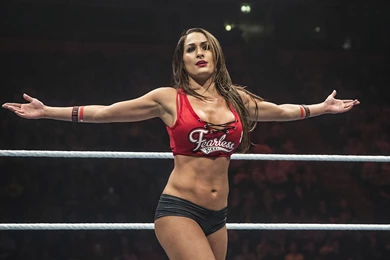 Fearless Nikki Bella 2015 HD Wallpapers