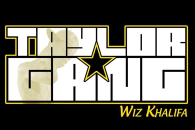 Official Cover Art Thread [Archive]   Page 14   Lil Wayne & YMCMB ...