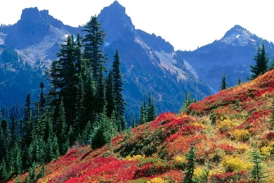 Fall Desktop Wallpapers