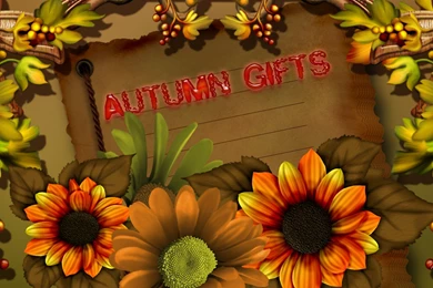 Autumn Flower HD Wallpapers