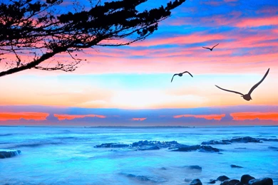 Top HD Ocean View Wallpapers