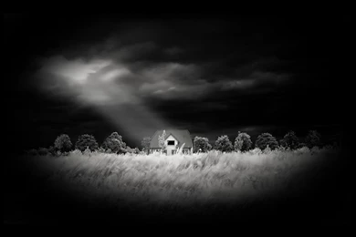 Wallpapers Lonely House In Dark Jungle 1024x768