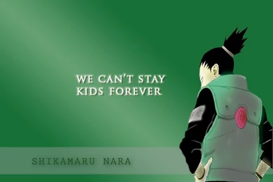Shikamaru   Shikamaru Wallpapers (28140641)   Fanpop
