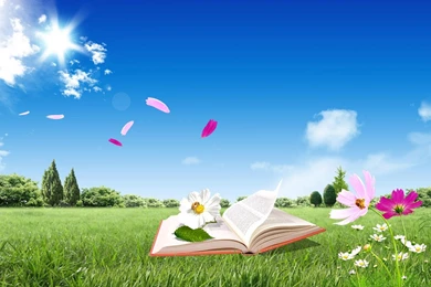 Free PC Wallpapers Downloads Desktop Wallpapers   Wallpapers Zone