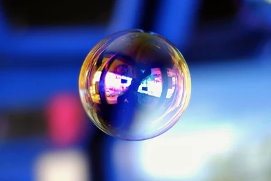 Light Bulb, Toy Rabbit & Plastic Utensils   Miscellaneous ...