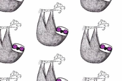 Hypno Sloth Android Wallpapers   Animal Wallpapers