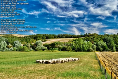 Desktop Backgrounds   My Bible Life