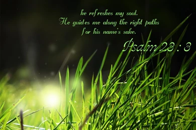 Christian Wallpapers: Psalm 23:3