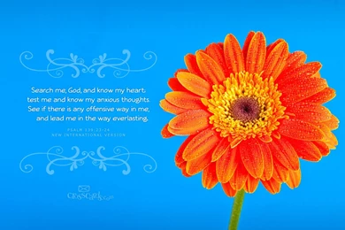 Beautiful Psalms Desktop & Mobile Wallpapers   Free Backgrounds