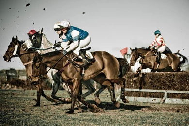 Horse Racing HD Wallpapers