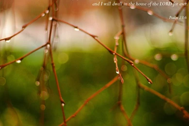 Religious Wallpapers Free Downloads *Radical Pagan Philosopher ...