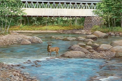 Lang Desktop Wallpapers ~ August 2015