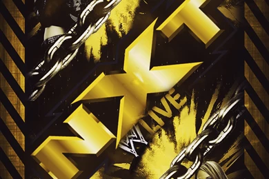 WWE NXT Diva Paige Custom Wallpapers By BullCrazyLight On DeviantArt