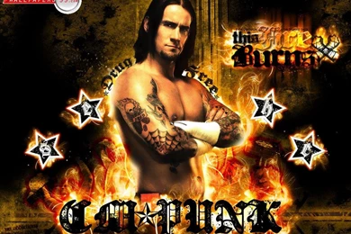 Cm Punk Tlc Wallpapers   Wallpapers Pictures Gallery