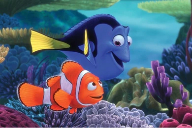 Finding Nemo 3D Movie HD Desktop Wallpapers 01   1920x1080 ...