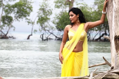 Priya Anand Hot HD Desktop Wallpapers : Widescreen : High ...