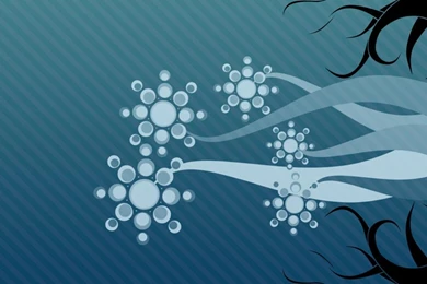 Artistic Vector Abstract Flowers Hd Wallpapers   (