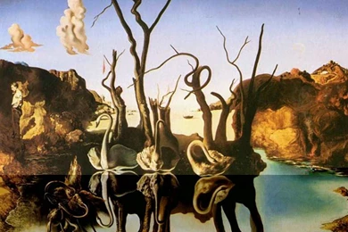 Salvador Dali Artwork Hd Wallpapers   (