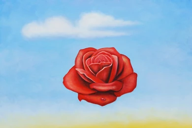 PAINTING] [SURREALISM] Salvador Dali   ART FOR YOUR WALLPAPER