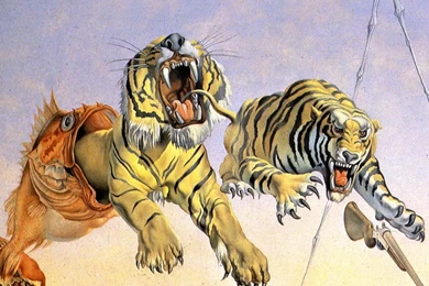 Dali Wallpapers   Wallpapers Cave