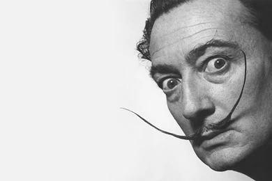 14 Quality Salvador Dali Wallpapers, Celebrity