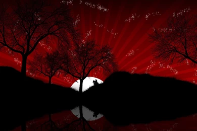 569 Vector HD Wallpapers