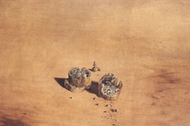 Paintings Surrealism Salvador Dalí Wallpapers