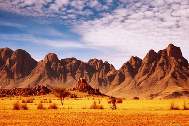 Desert Landscape Wallpapers