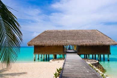 Beach House On Stilts