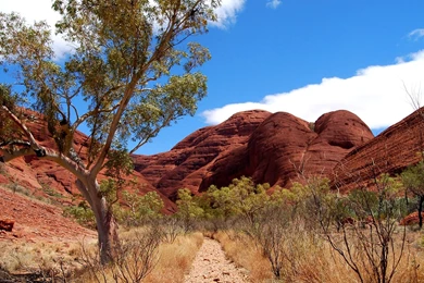 Desert Landscape HD Wallpapers