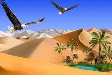 Desert Wallpapers For Widescreen Desktop PC 1920x1080 Full HD