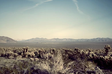 Desert iPad Wallpapers